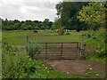 A field with horses near Debdale