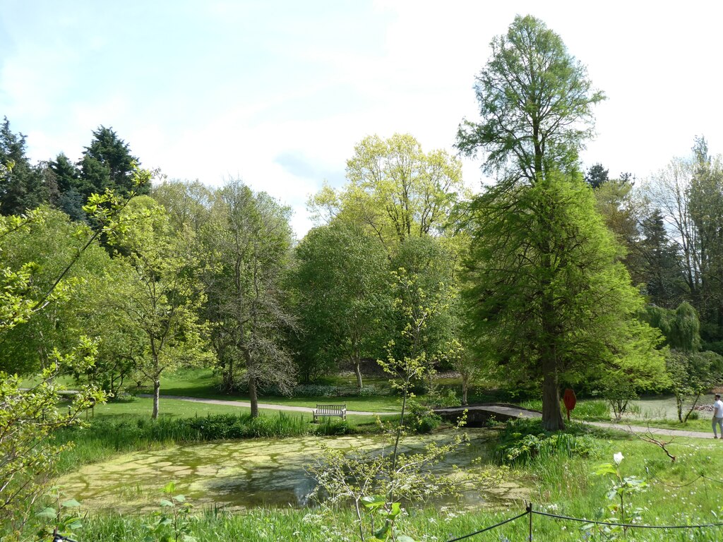 Pool in Ness Botanic Gardens © David Smith cc-by-sa/2.0 :: Geograph ...