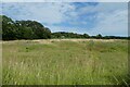 Fields east of the bridleway