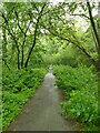 Cycle route off The Avenue, Starbeck