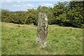 Boundary Stone on Kerridge Hill