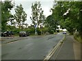 Nidderdale Greenway crossing Bilton Lane