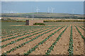 Farmland, St Eval