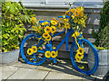 SU3802 : Decorated bicycle by Ian Capper