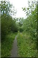 Path south of New Earswick