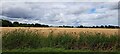 Field north of Innocence Lane