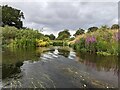 SJ5509 : Confluence of the River Tern and River Severn by TCExplorer
