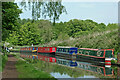 SO8684 : Moored narrowboats near Stourton in Staffordshire by Roger  D Kidd