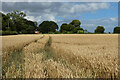 Farmland, Amersham