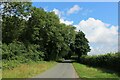 Moor Lane beside Legates Plantation