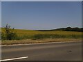 Fields north of Wattle Syke