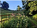 Path to Valley Close in Low Habberley