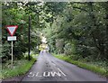 Low Habberley Lane at Trimpley Green