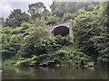 SJ6603 : Viaduct of the former Severn Valley Railway by TCExplorer