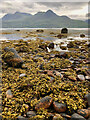 NG8756 : Half-tide at Loch Torridon by Mick Garratt