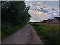 Path towards Whimbrel Chase