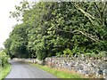 Stone boundary wall at Glanmachlas