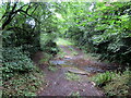 Rhyd a phompren / Ford and footbridge