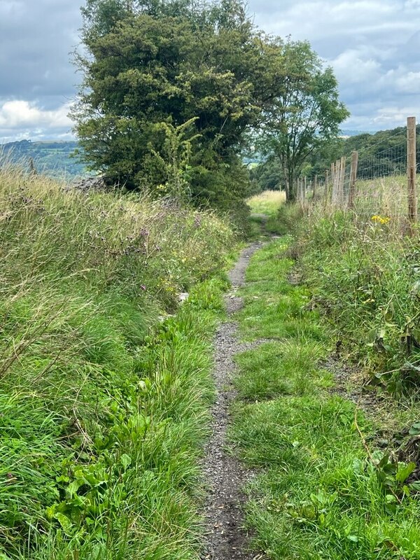 Dark Lane © Jay Pea ccbysa/2.0 Geograph Britain and Ireland