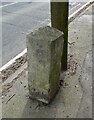 Old Milestone by the A3095, Newell Green