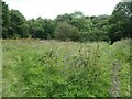 Public footpath through Pestilence Close