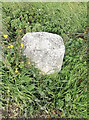 Old Milestone by the A337, Christchurch Road, Old Milton