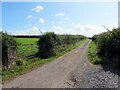 Llwybr yn gadael yr heol /A path exiting the road