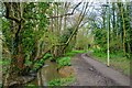 Gloucester : Matson - Footpath