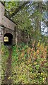 View of tunnel footpath