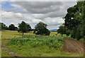 Farmland near Trimpley