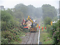 Lineside clearance work on the Coryton line