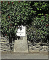 Old Milestone by the B4425, Barnsley village, Cotswolds