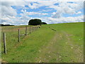 Pastureland near Càrn Glas