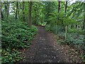 Public Footpath adjacent to Alton Towers