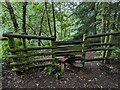 Footpath stile in Park Banks woodland