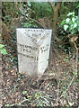 Old Milepost by the B5069, Wrexham Road, Threapwood