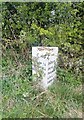 Old Milepost by the B5053, Warslow Road, Butterton parish