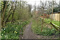 Tandridge Border Path