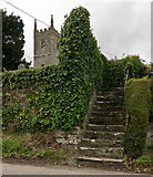 SS5937 : Steps leading to St. Peter's Church, Shirwell by Roger A Smith
