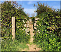 Stone Stile, Treviskey