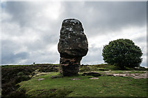 SK2462 : Cork Stone, Stanton Moor by Brian Deegan