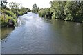 SP1151 : River Avon by Philip Halling