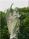 SE0915 : Angel on the Whitwam Memorial, Golcar by Humphrey Bolton