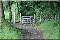 Kissing gate in woodland, Bush