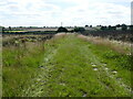 Footpath towards Kelham