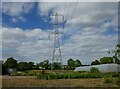 Pylon and polytunnel