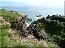 NK1036 : Sea cliffs near the New Slains Castle by Oliver Dixon