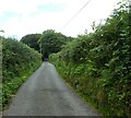 Road south of Llwyn yr Eryr