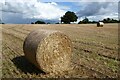 SO7828 : Round straw bales by Philip Halling
