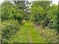 Chute Cadley footpath